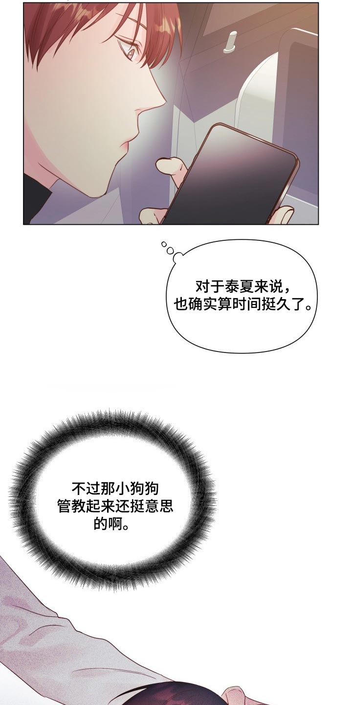 掌中玫瑰怎么折漫画,第20话2图