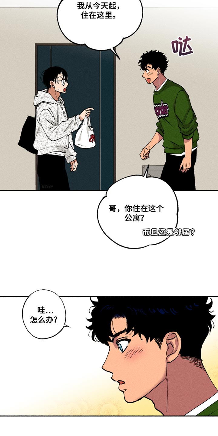 社牛什么意思漫画,第16话1图