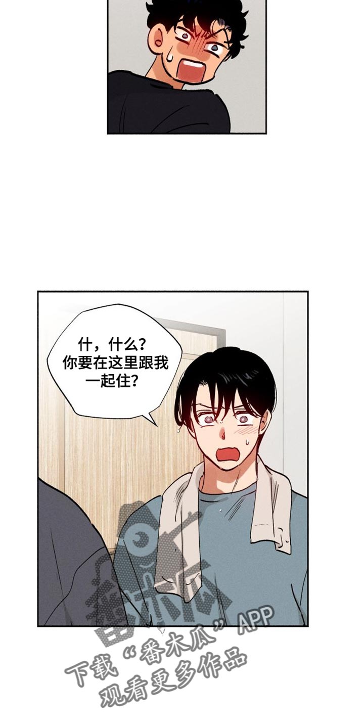 社牛症是什么意思漫画,第38话1图