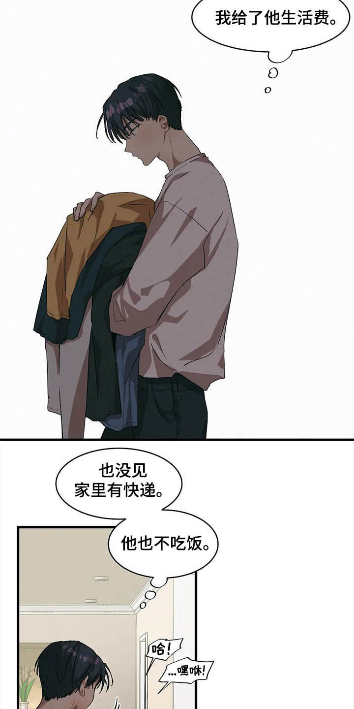 花哨的纸箱设计漫画,第16话1图