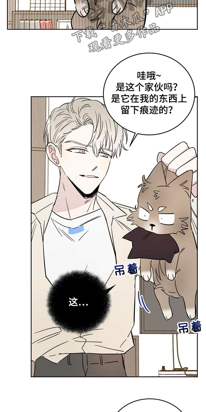 恶魔战线漫画,第39话1图