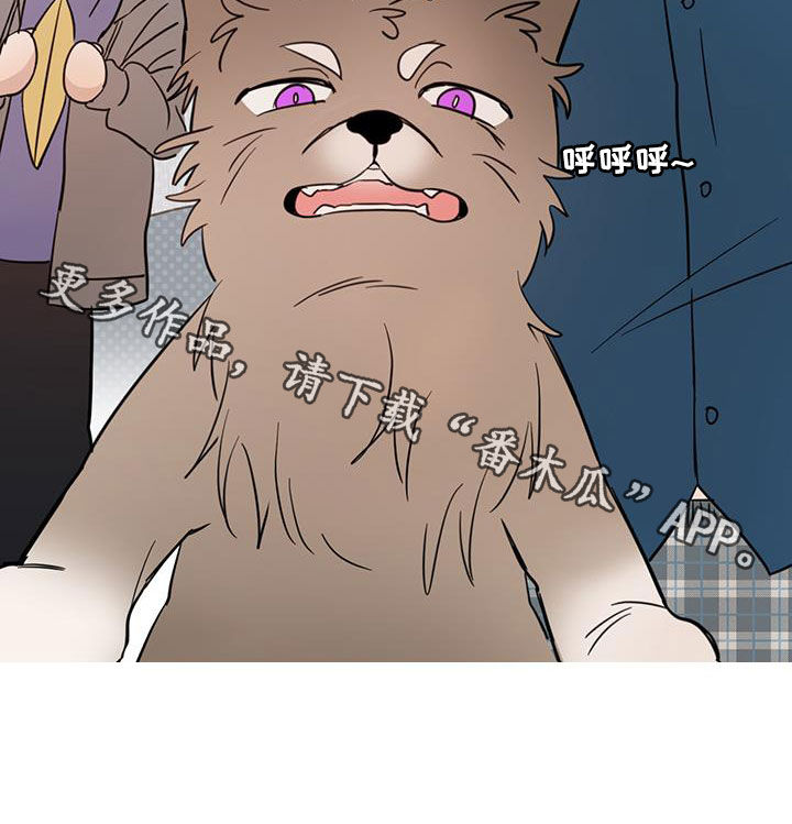 赤月恶魔刚出来的时候漫画,第75话1图