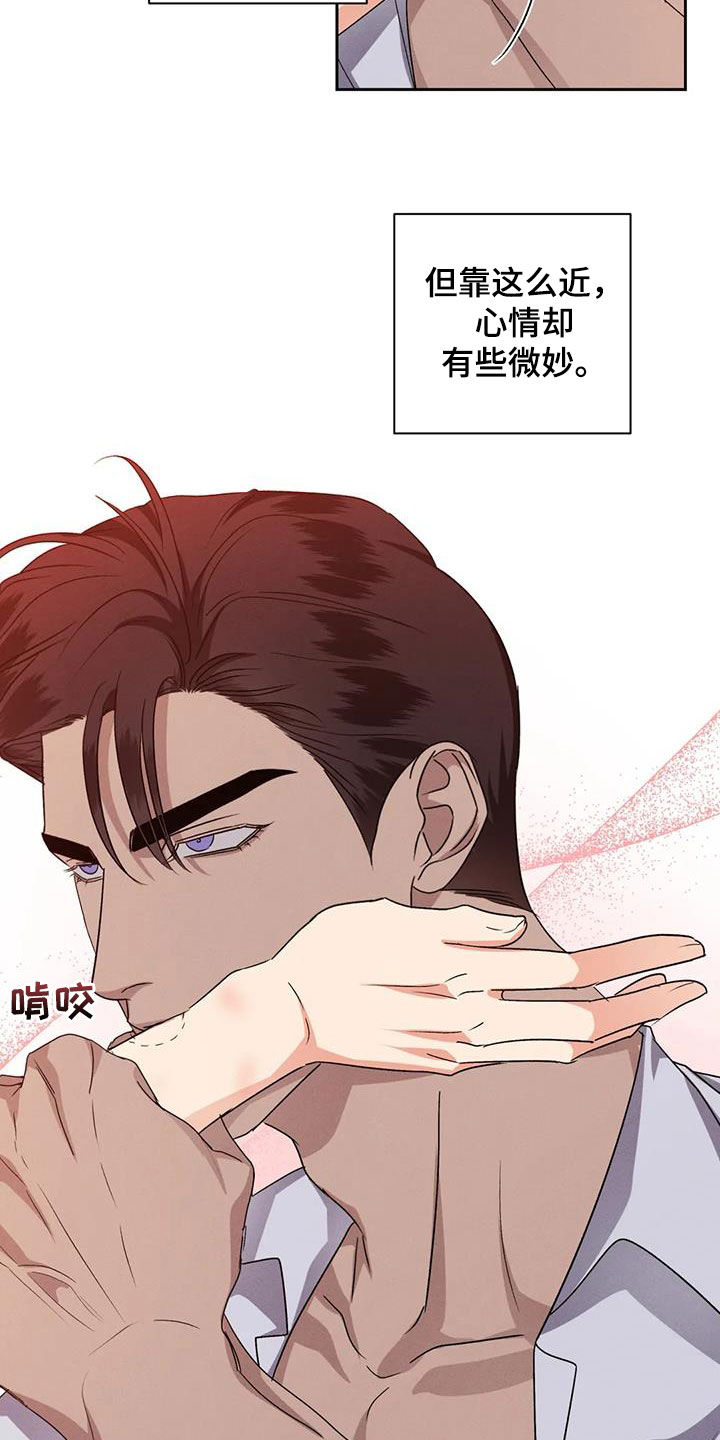危险重逢免费漫画,第105话1图