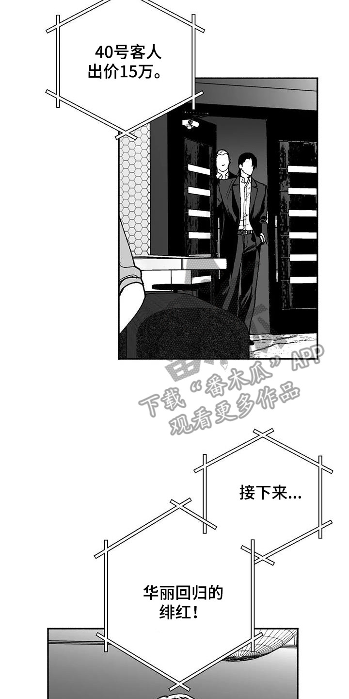 绯色官途北疆雪狼全文免费阅读漫画,第66话2图