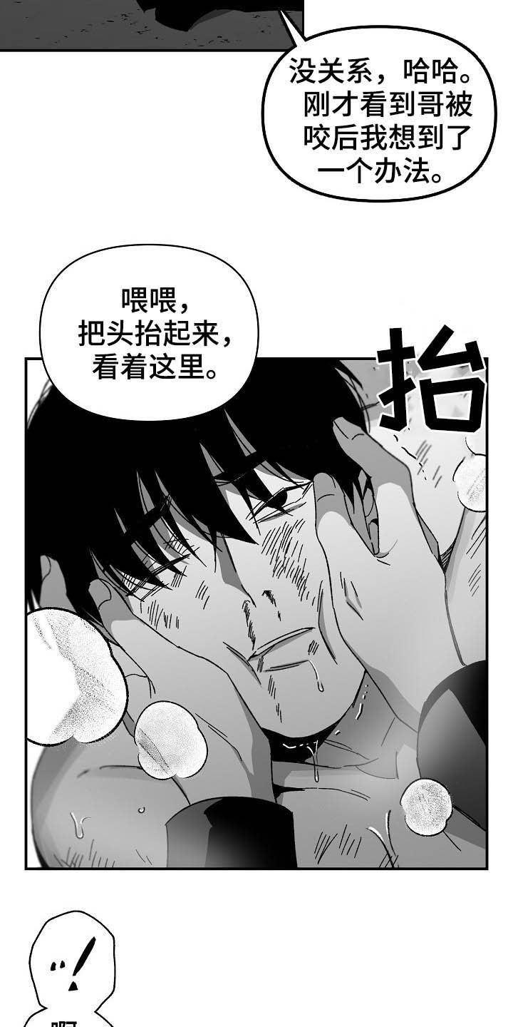 错位悬疑剧黑马漫画,第19话1图