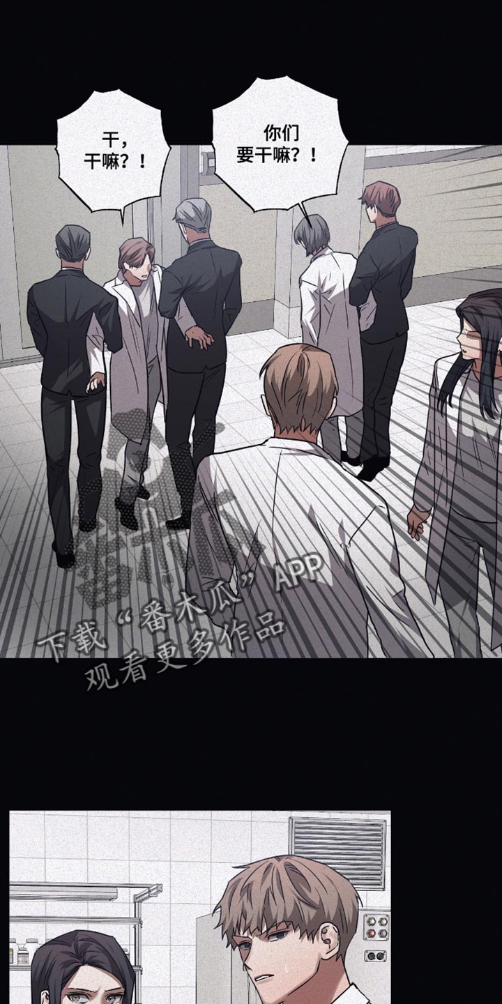 浪漫的命运漫画,第135话1图
