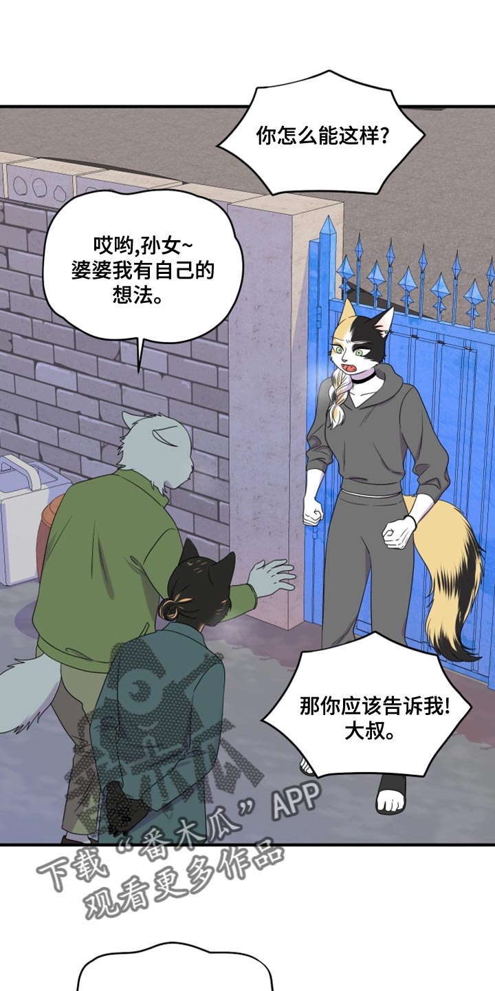 灵猫欧米伽完整版漫画,第102话1图