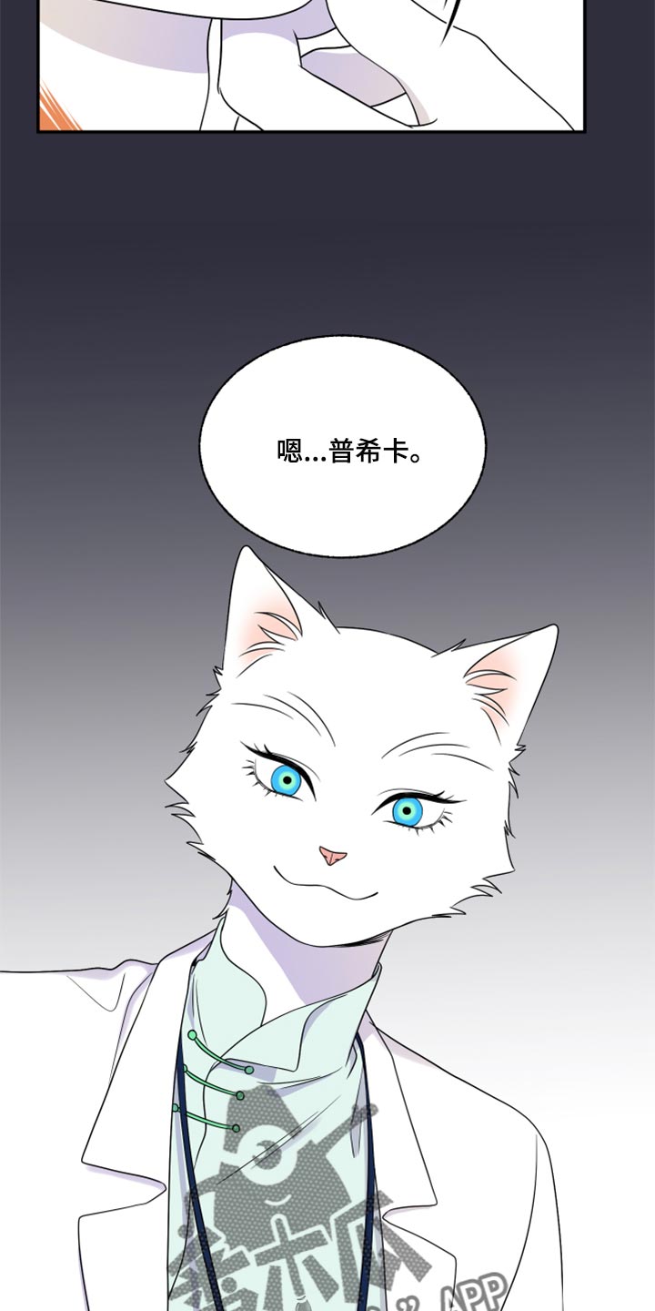 灵猫欧米伽漫画免费看漫画,第52话1图