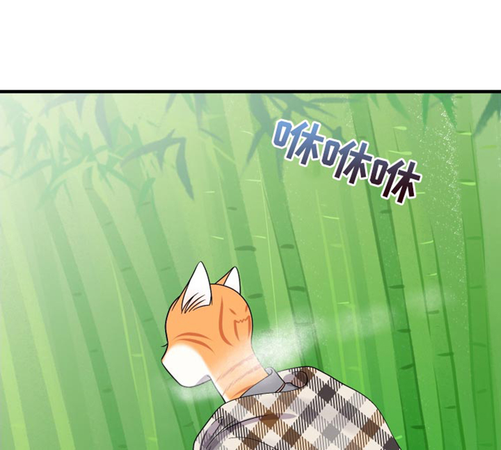 灵猫欧米伽免费阅读漫画,第99话2图