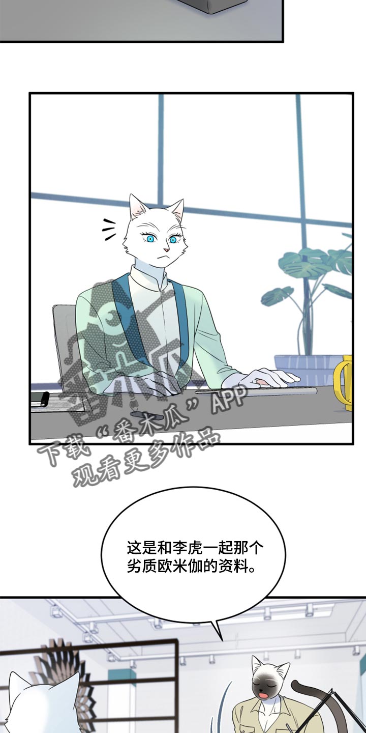 灵猫欧米伽漫画免费漫画,第65话1图