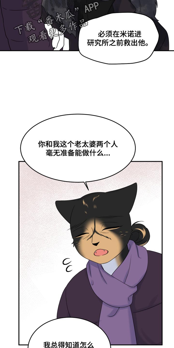 灵猫欧米伽漫画免费观看下拉式漫画,第111话1图