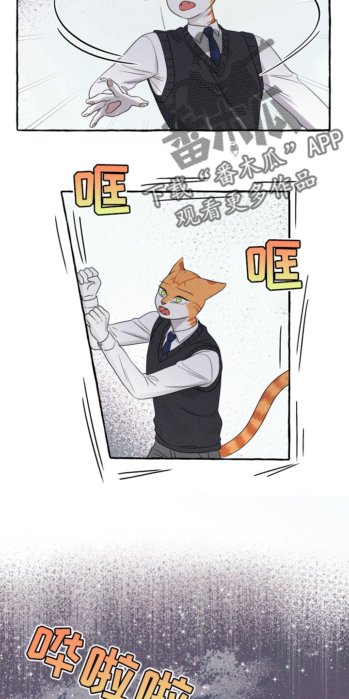 灵猫欧米伽双猫漫画,第97话1图