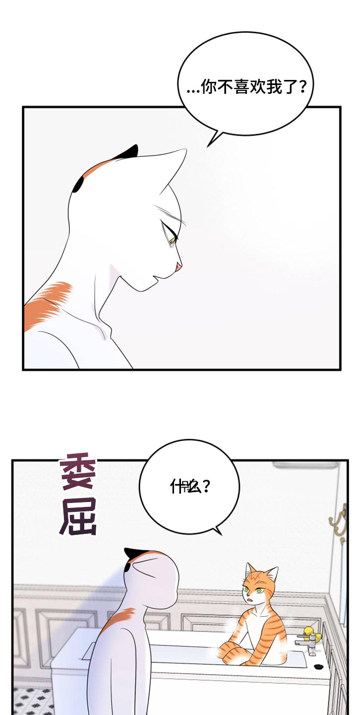 灵猫欧米茄画涯漫画,第71话2图