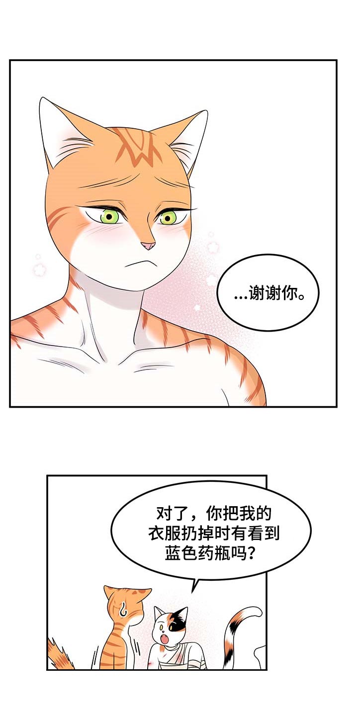 灵猫欧米伽免费阅读漫画,第48话2图