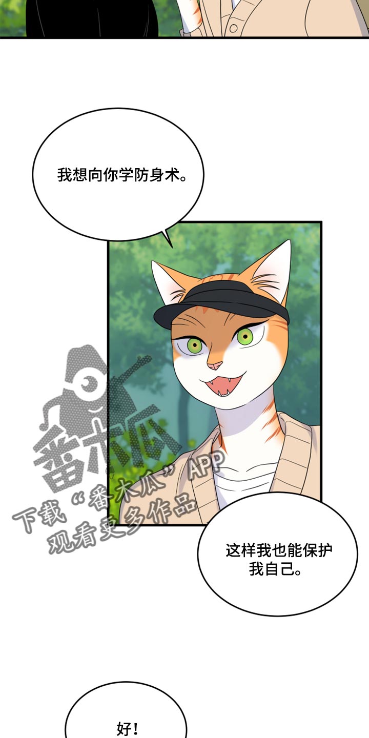 灵猫欧米伽什么时候更新第三季漫画,第87话1图