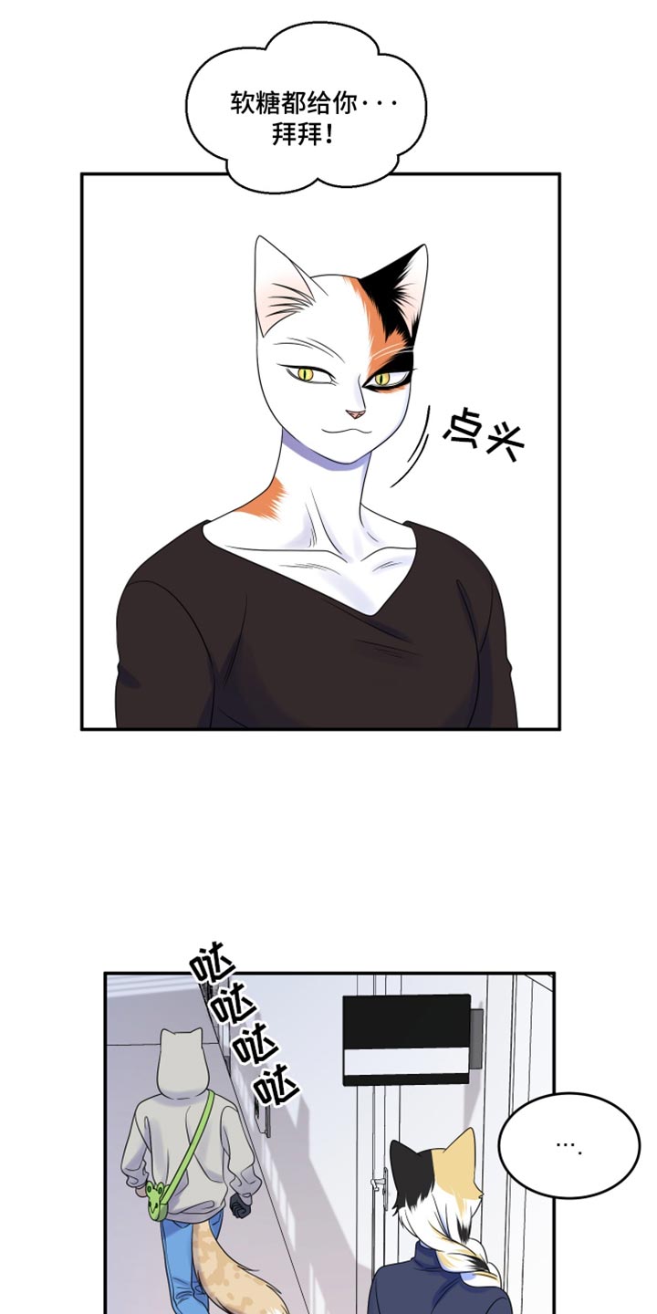 灵猫欧米伽免费阅读漫画,第116话2图