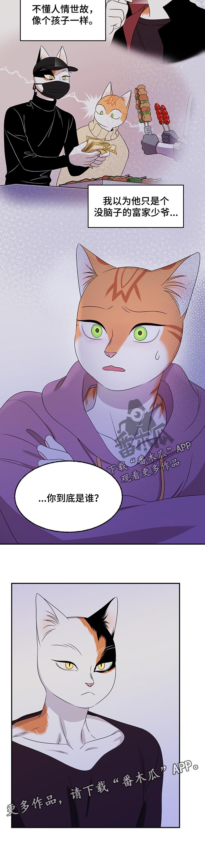 灵猫欧米伽免费阅读漫画,第30话2图