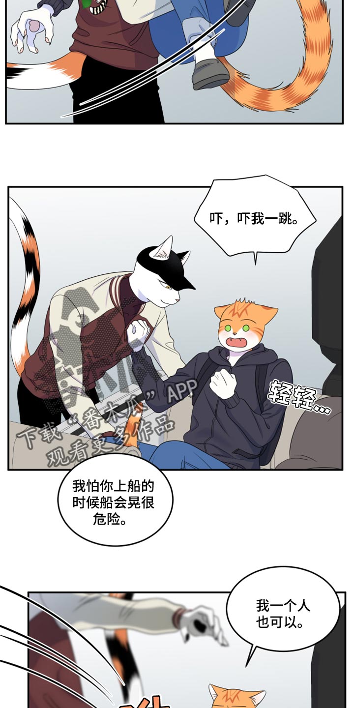 灵猫欧米伽完整版漫画,第60话2图