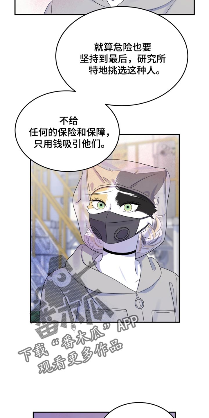 灵猫欧米伽什么时候更新漫画,第123话1图