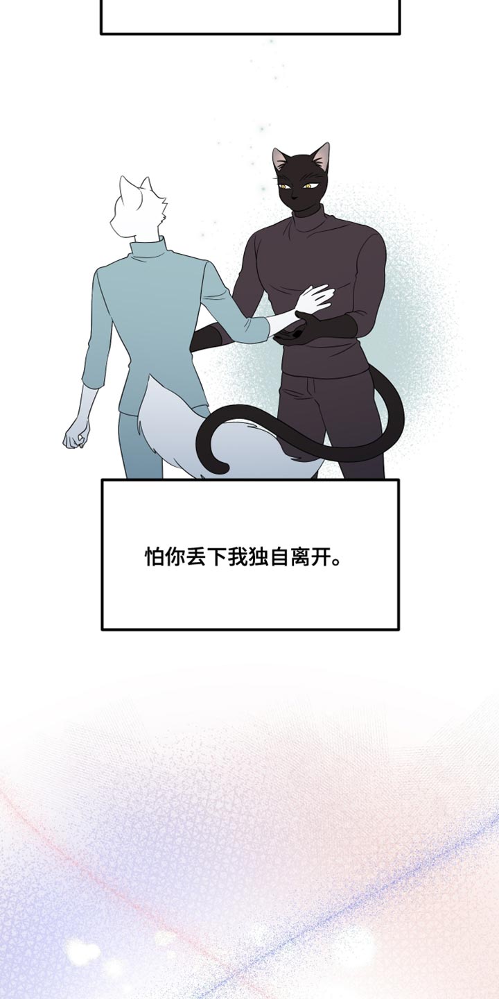 灵猫欧米伽免费阅读漫画,第155话2图