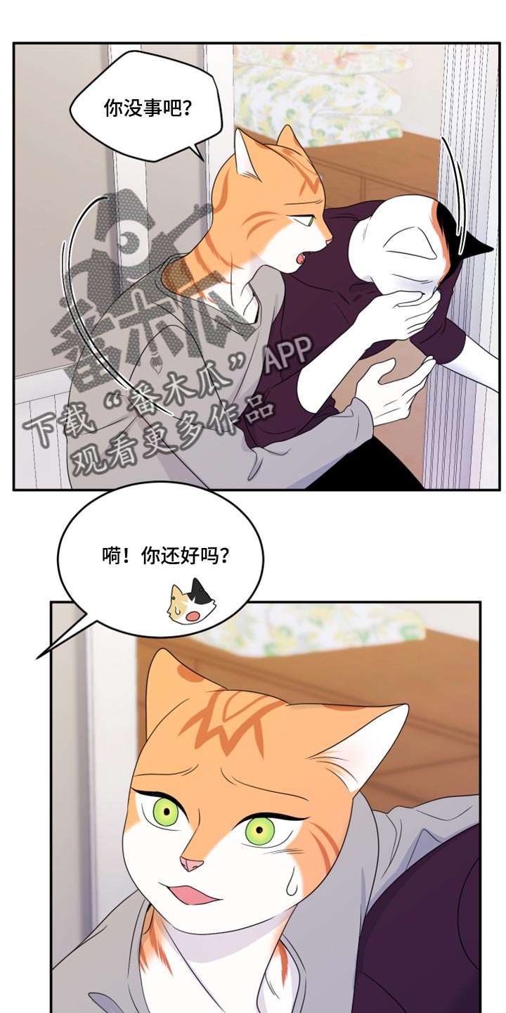 灵猫欧米伽漫画第二季漫画,第54话2图