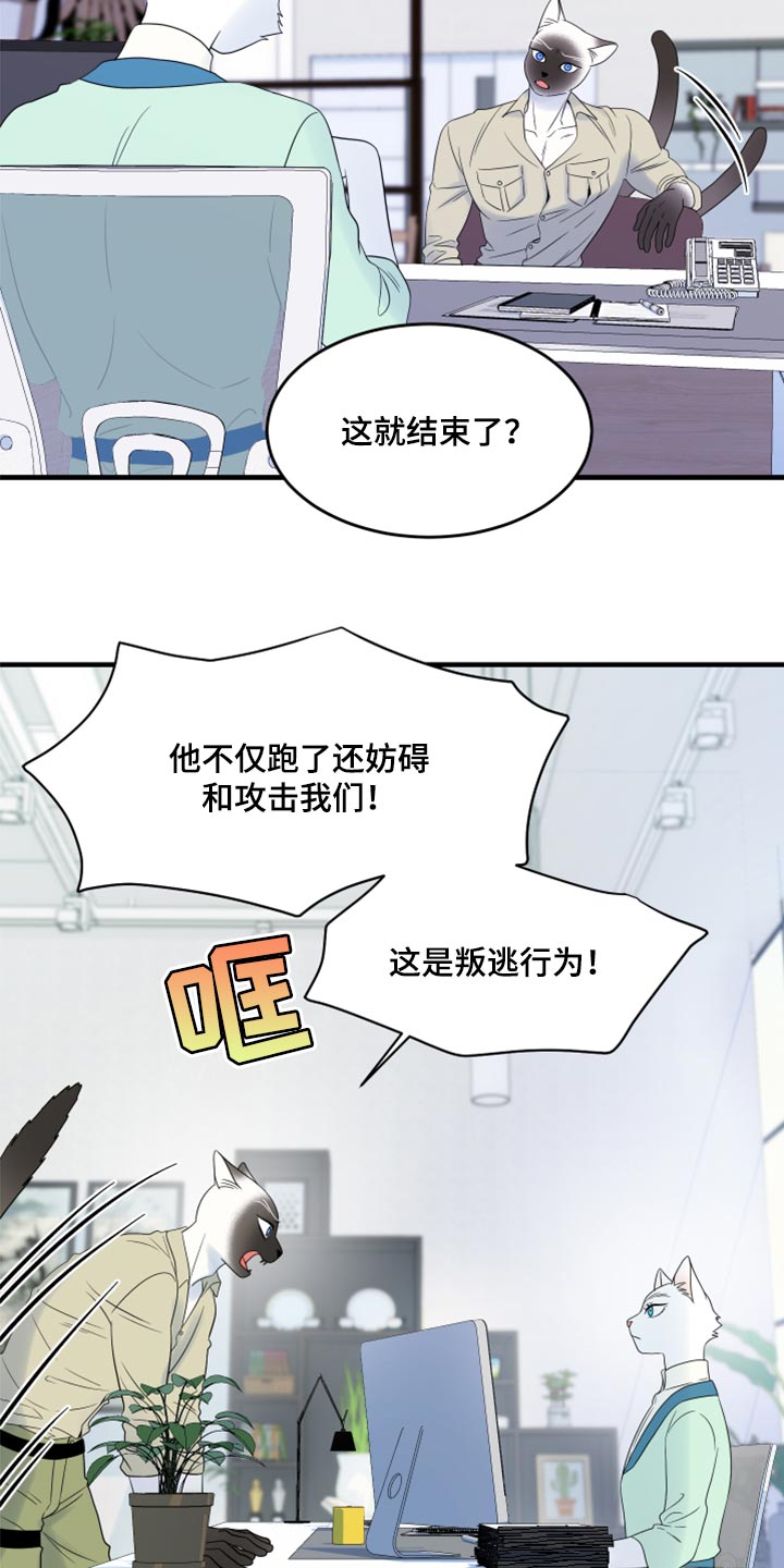 灵猫欧米伽漫画,第65话2图