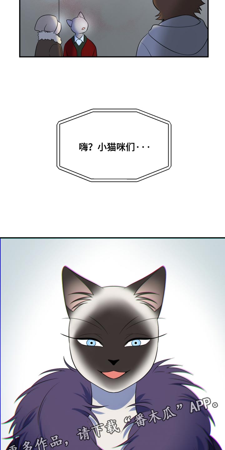 灵猫欧米伽漫画免费漫画,第148话2图