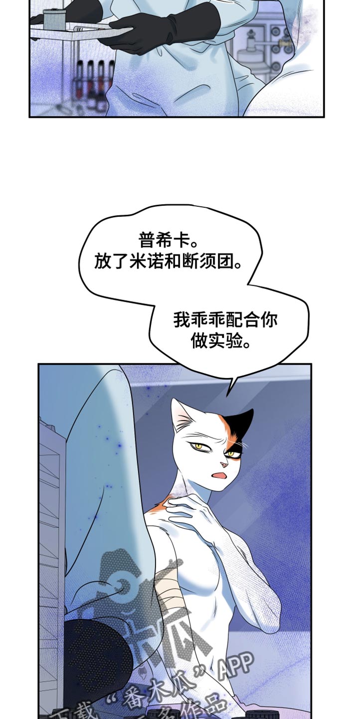 漫画灵猫欧米伽漫画,第163话2图