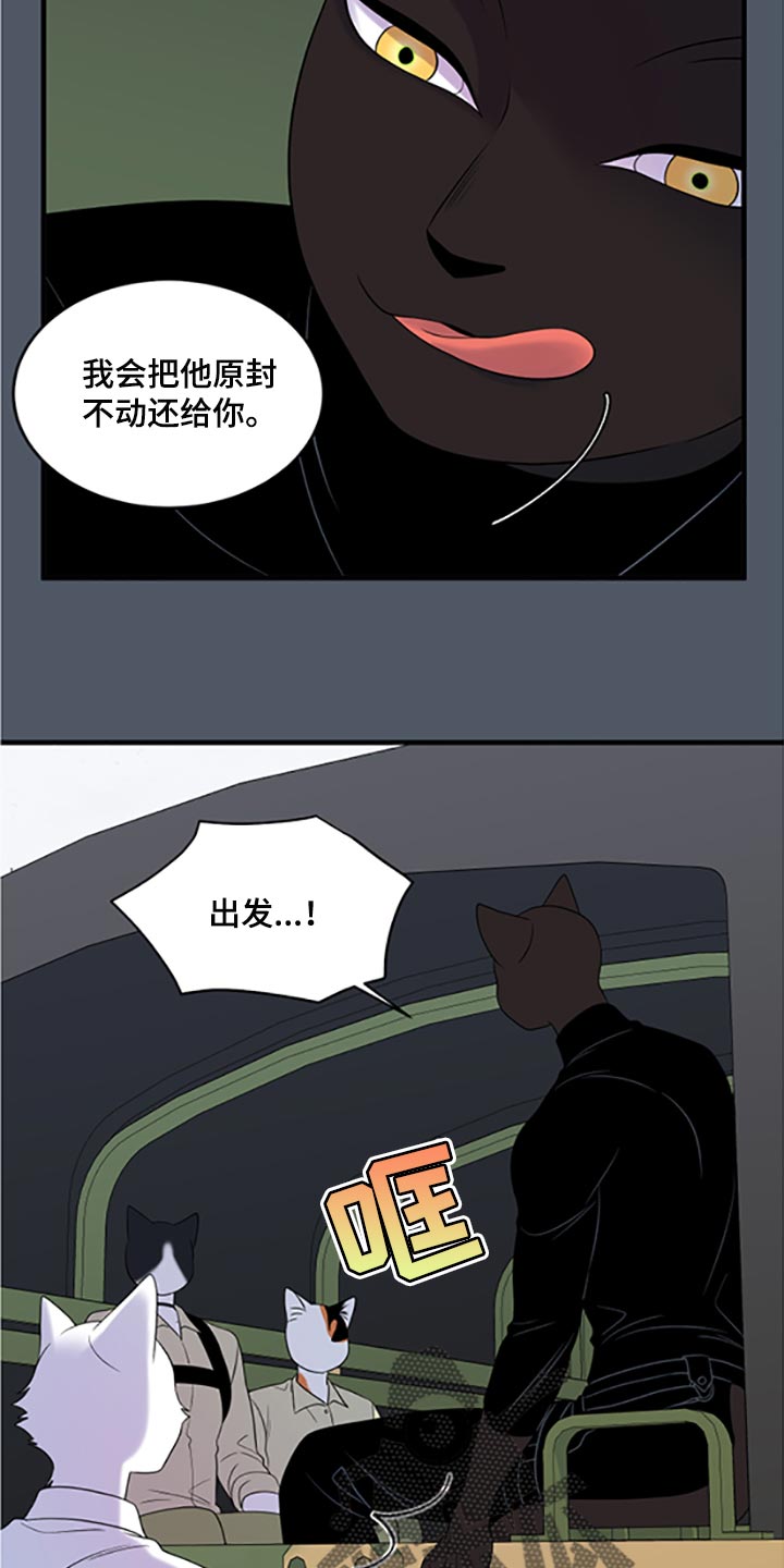 灵猫欧米伽免费阅读漫画,第79话2图