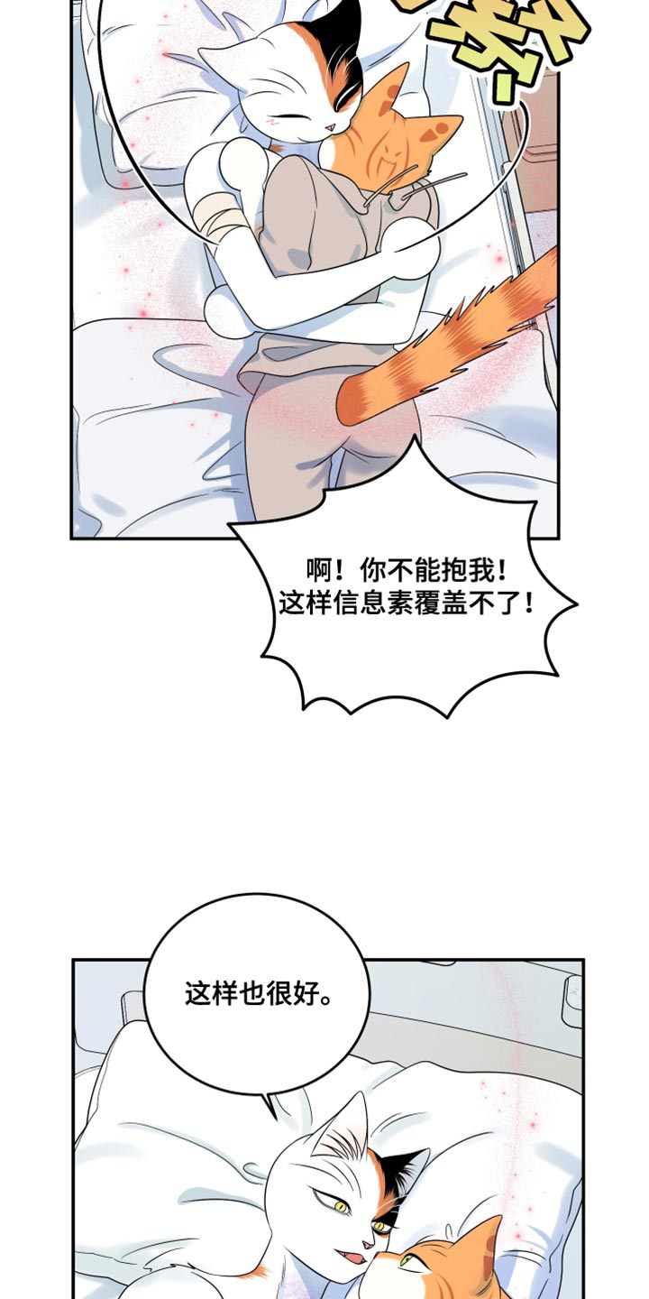 灵猫欧米伽漫画全集免费观看漫画,第167话1图