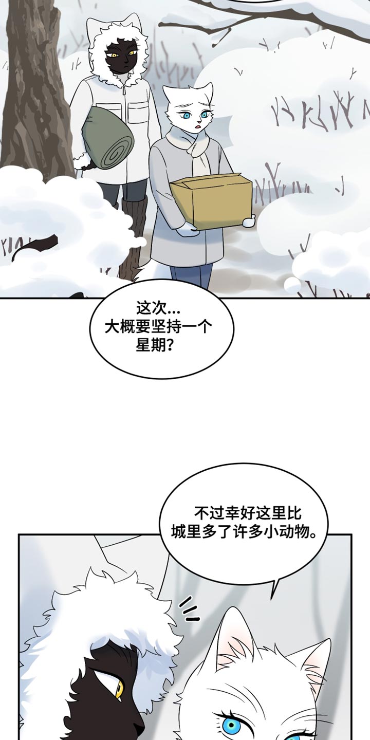 灵猫欧米伽漫画,第143话2图