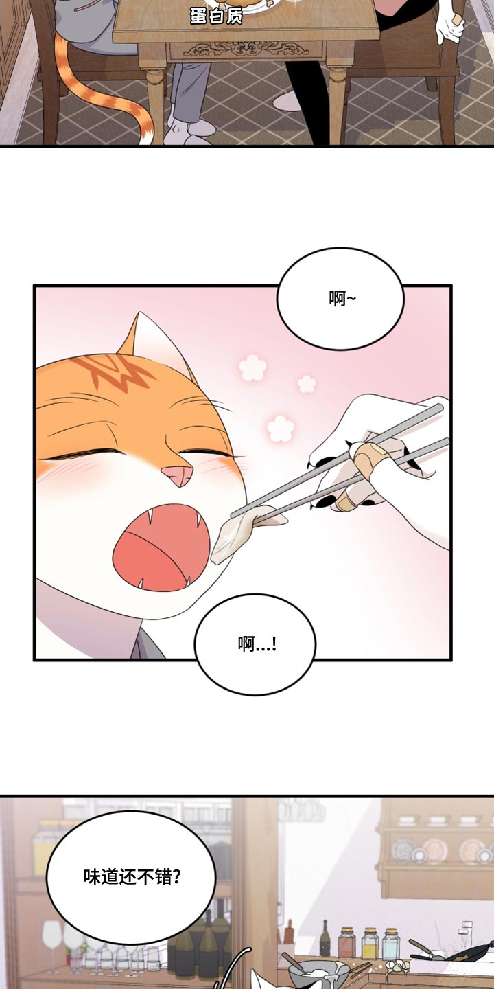 灵猫欧米茄画涯漫画,第100话1图