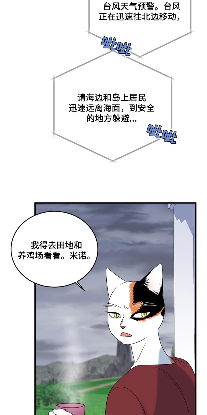 灵猫欧米伽什么时候更新第三季漫画,第88话1图