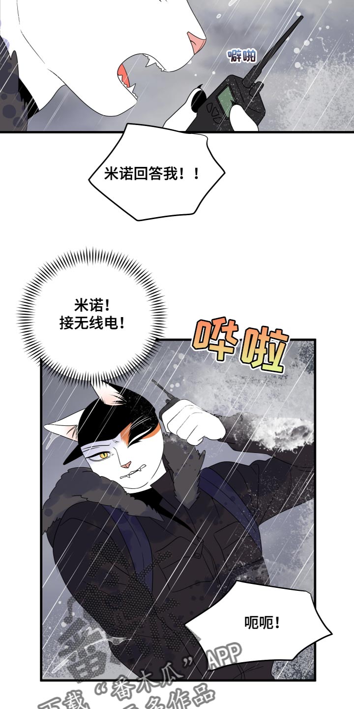 灵猫是什么动物漫画,第110话1图