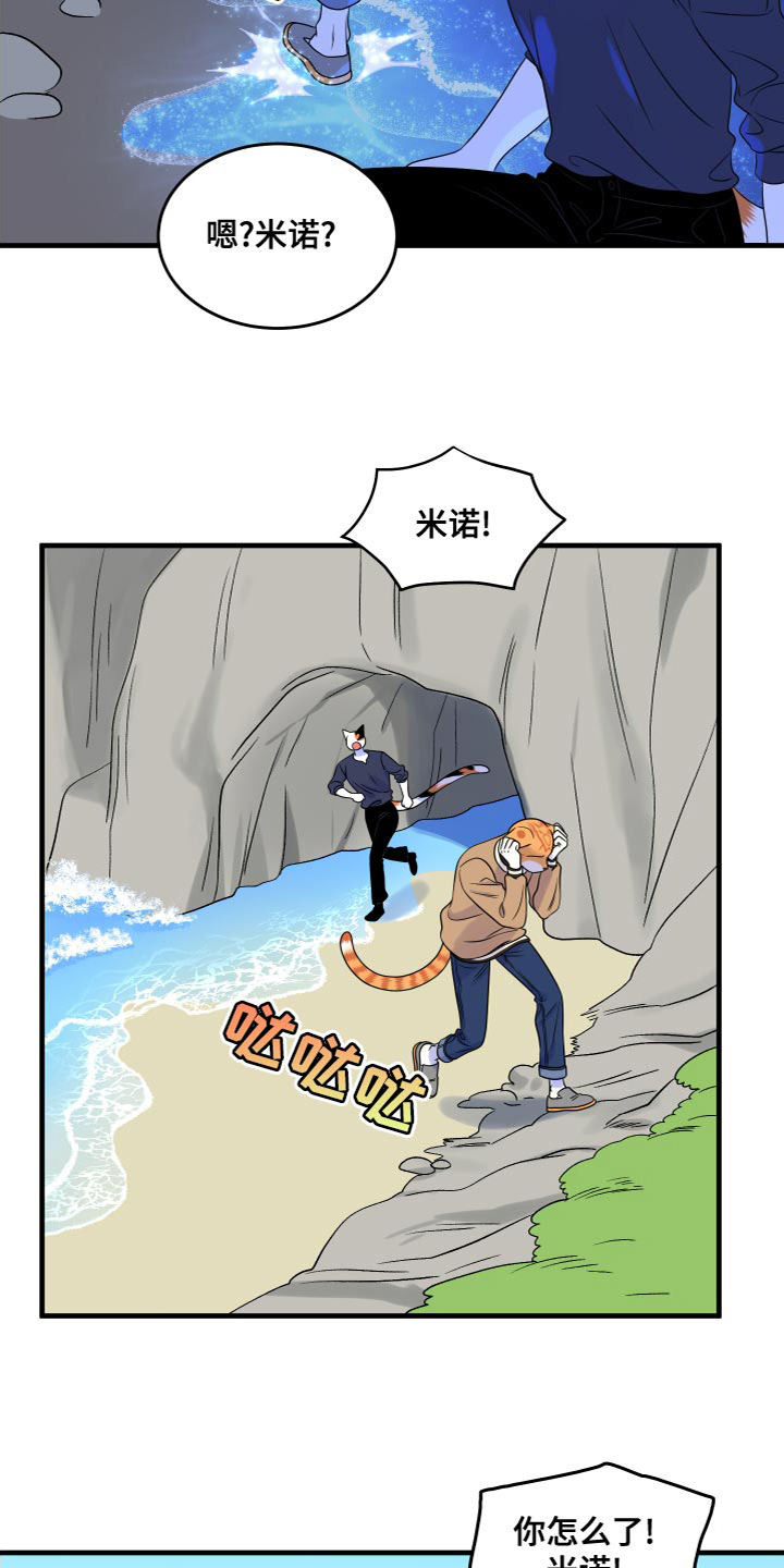 灵猫欧米伽免费阅读漫画,第95话2图