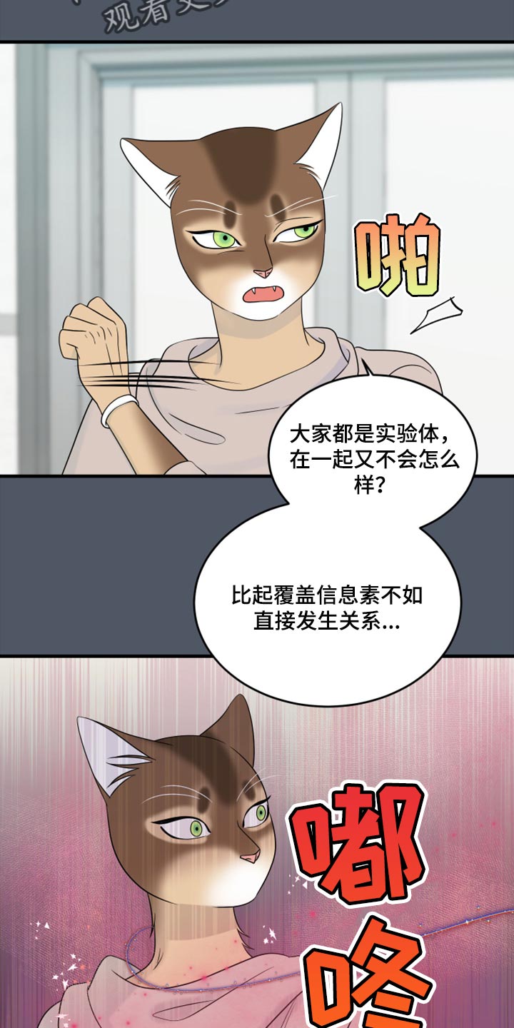 灵猫欧米伽3漫画,第86话1图