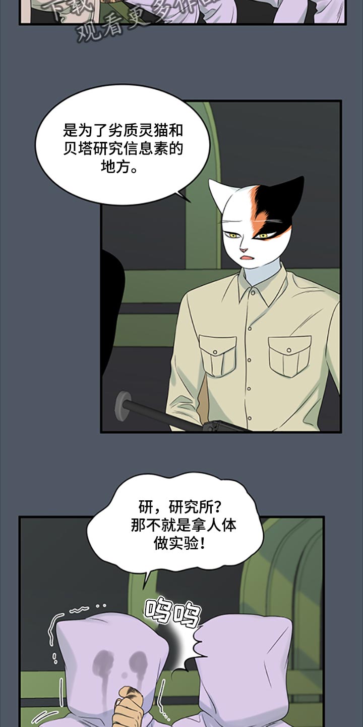 灵猫欧米伽第三季什么时候出漫画,第80话2图