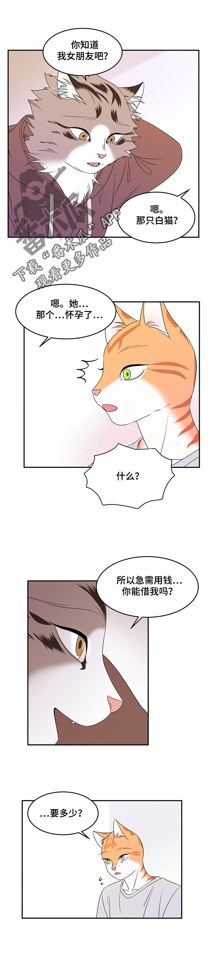 灵猫欧米伽漫画全集免费观看漫画,第6话1图