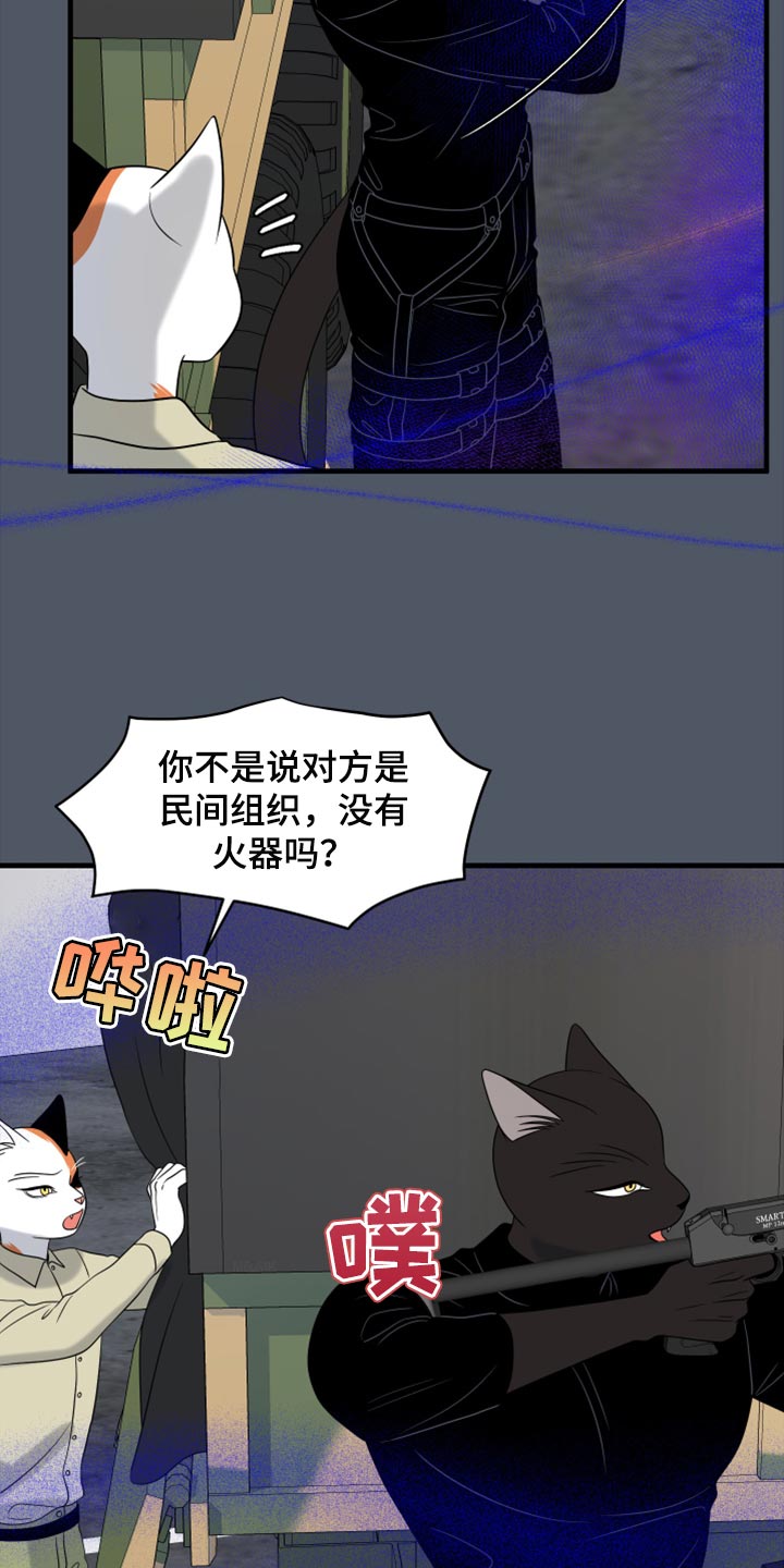 漫画灵猫欧米伽漫画,第81话1图