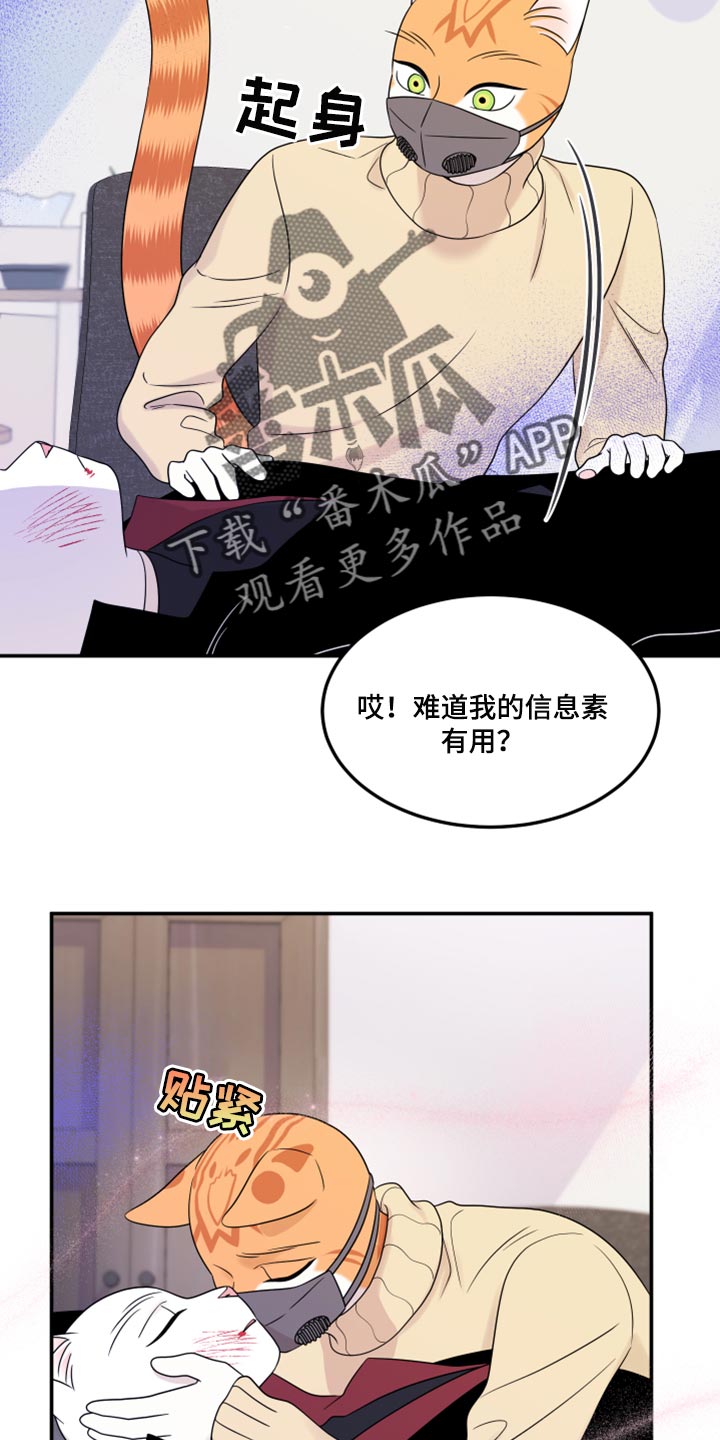 灵猫小说漫画,第51话1图