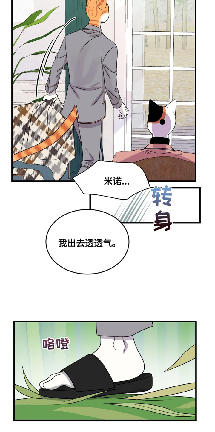 灵猫欧米伽免费版在哪里看漫画,第99话1图