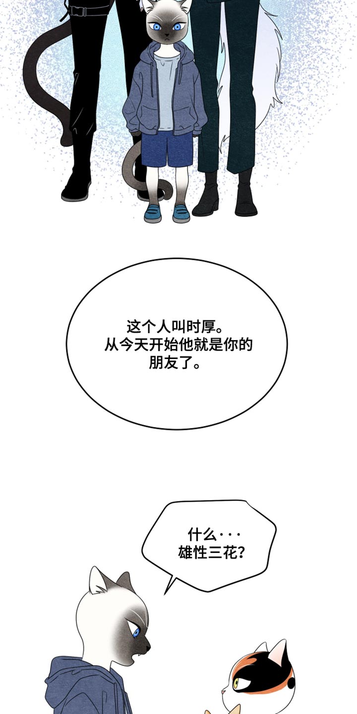 灵猫欧米伽高清漫画,第158话2图