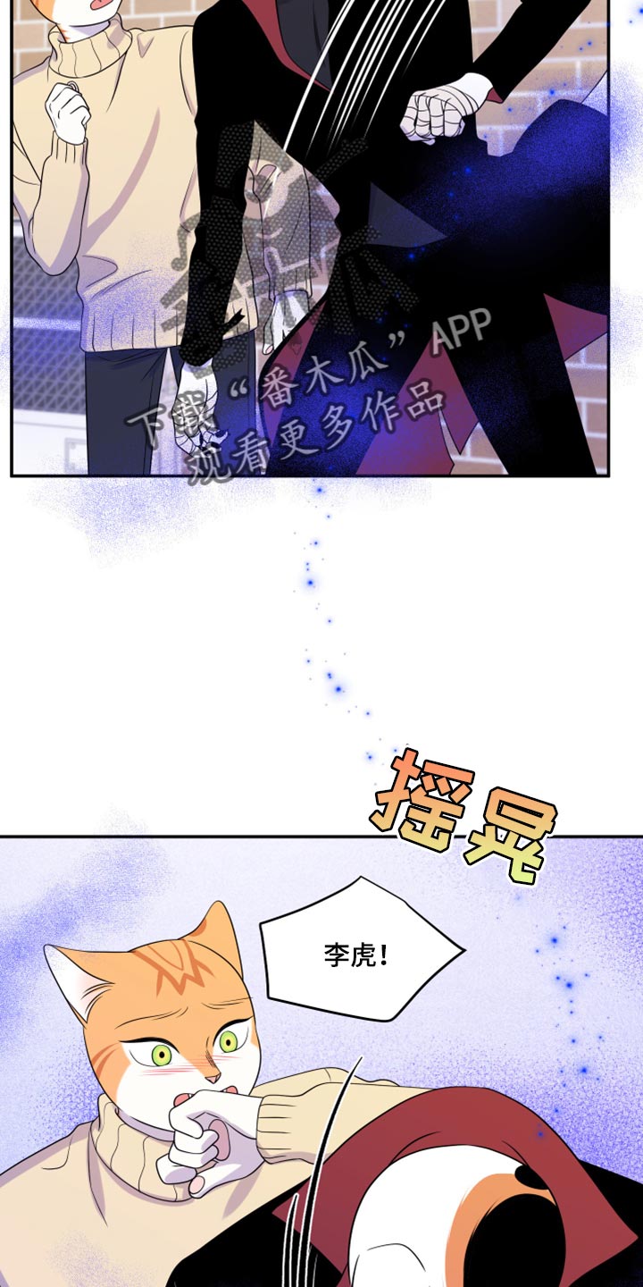 灵猫欧米伽漫画第二季漫画,第49话1图