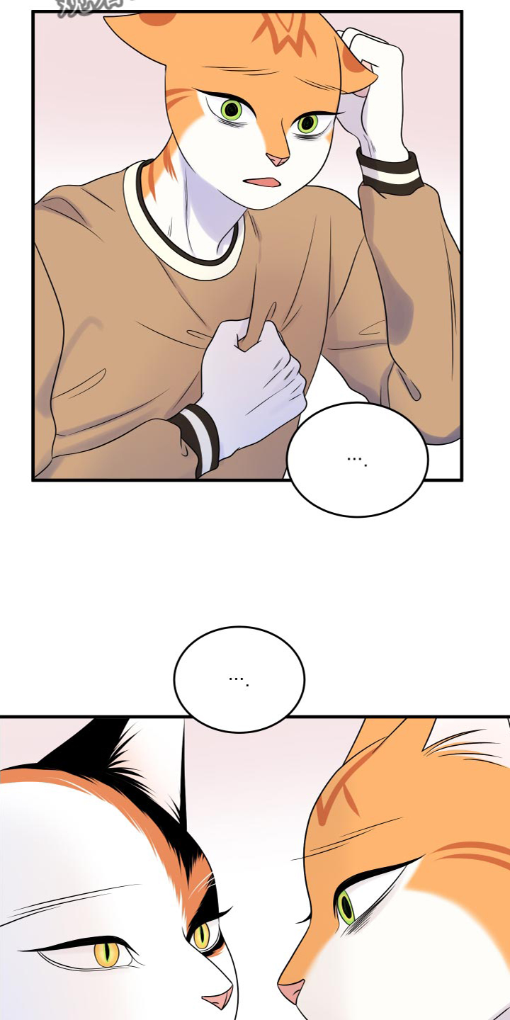灵猫传1-8剧情漫画,第95话2图