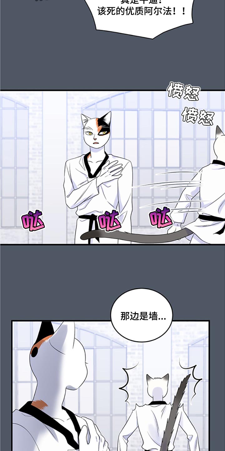 灵猫欧米伽漫画下拉漫画,第77话2图