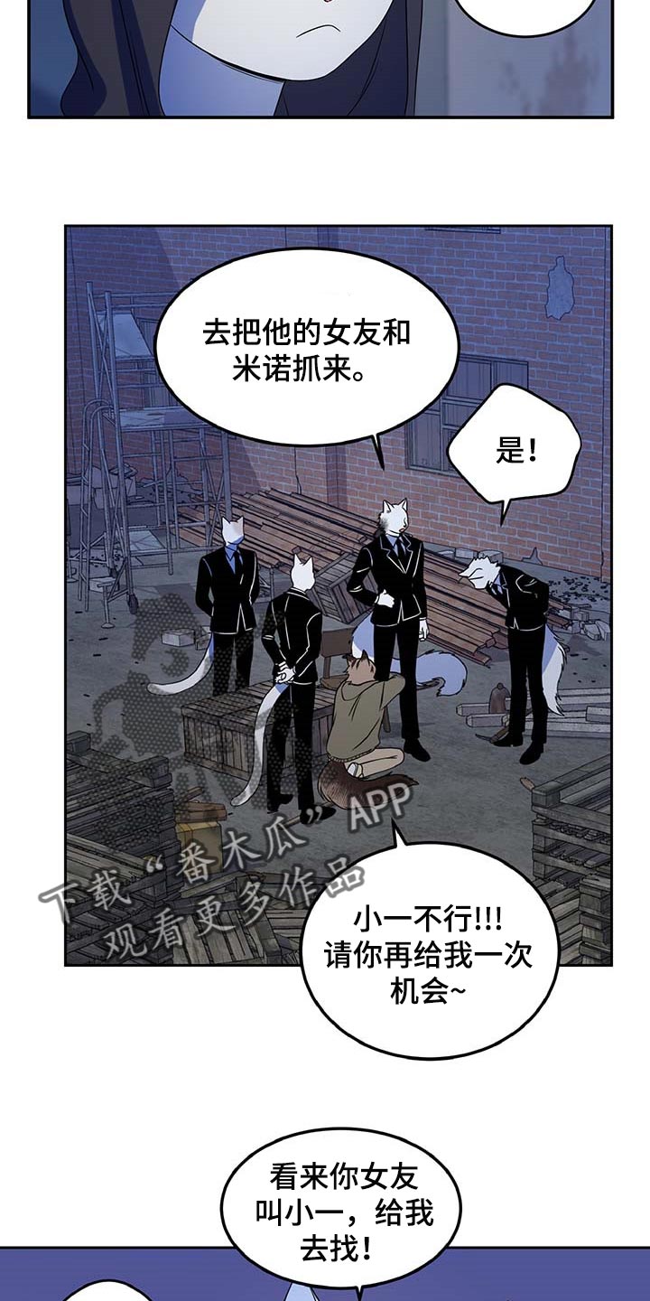 灵猫欧米伽漫画下拉漫画,第37话1图