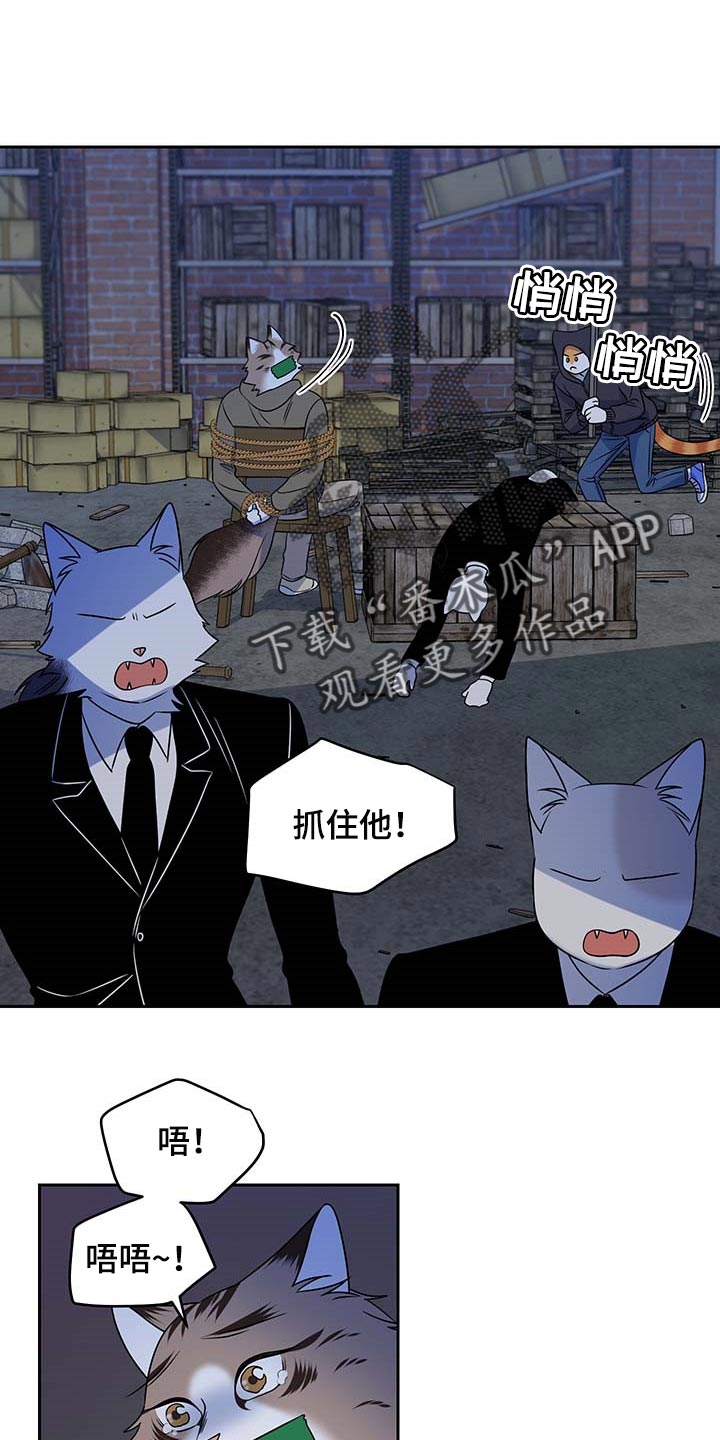 灵猫欧米伽2漫画,第38话1图