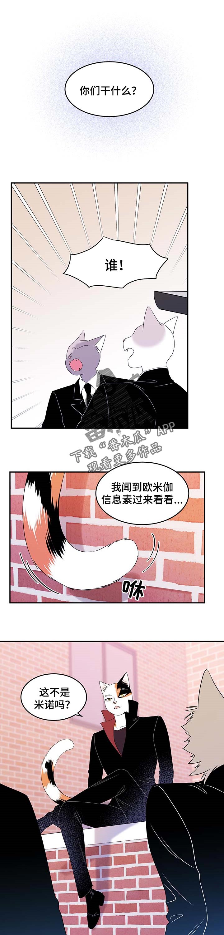 灵猫欧米伽2漫画,第28话1图