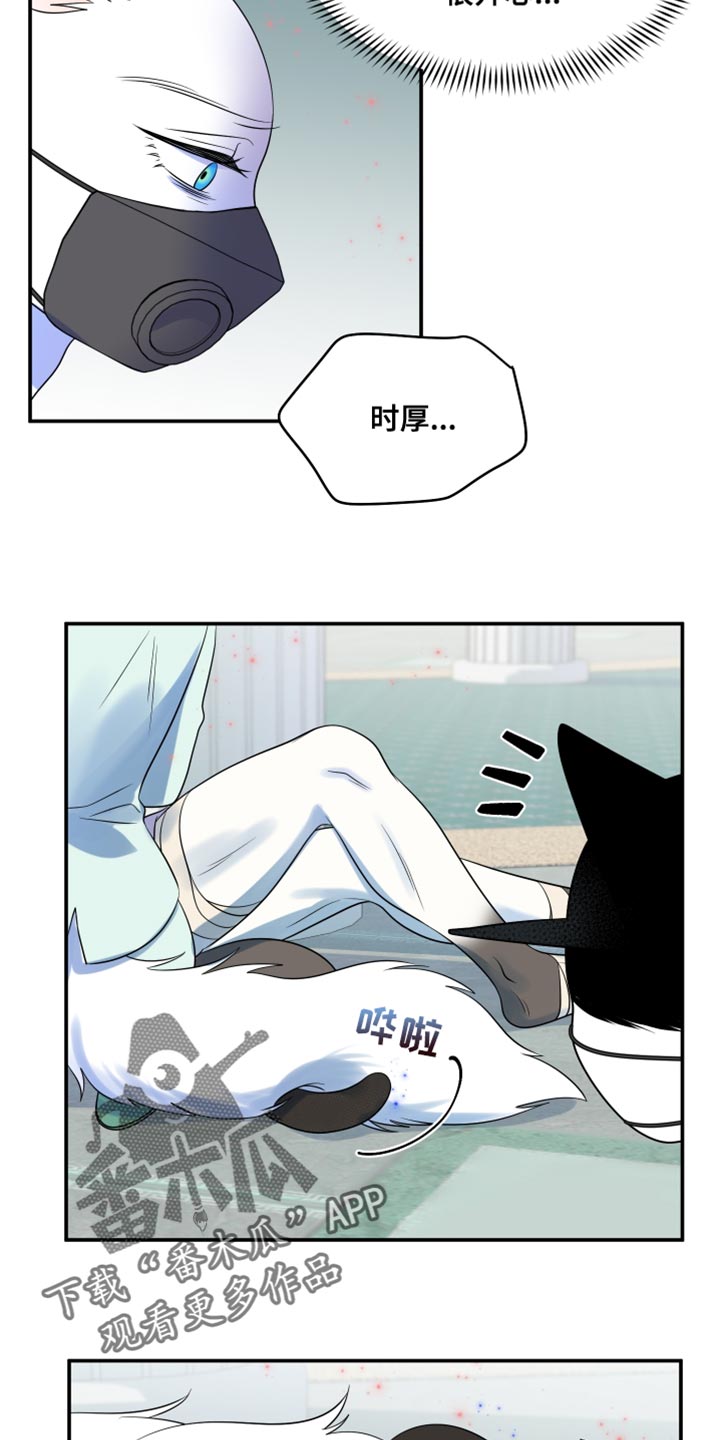 灵猫欧米伽漫画免费观看漫画,第133话2图