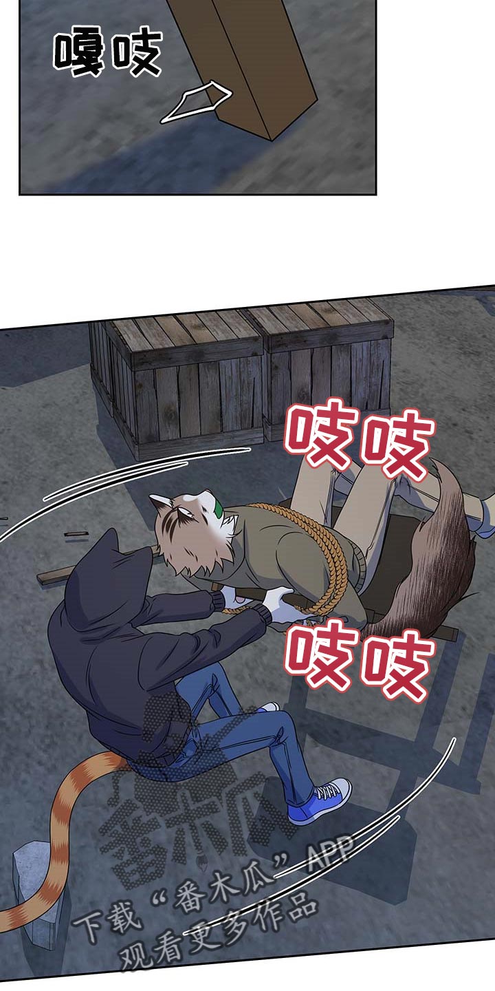 灵猫欧米伽漫蛙叫什么漫画,第38话2图